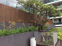Shelford Suites (D11), Condominium #118029312